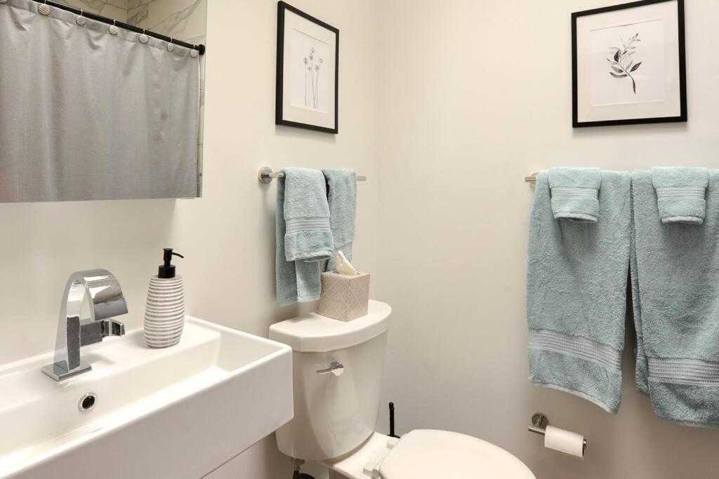 Cherry Blossom Townhouse, Easy Dc Access วอชิงตัน ภายนอก รูปภาพ