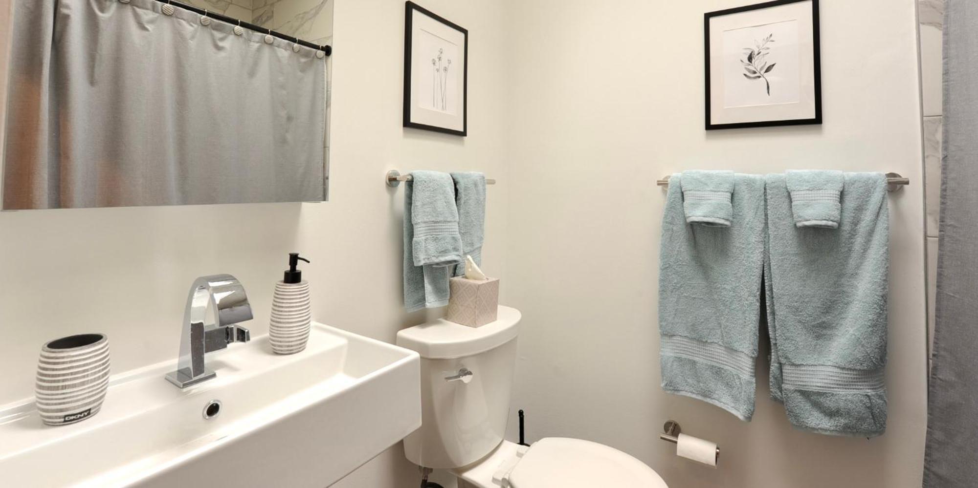 Cherry Blossom Townhouse, Easy Dc Access วอชิงตัน ภายนอก รูปภาพ